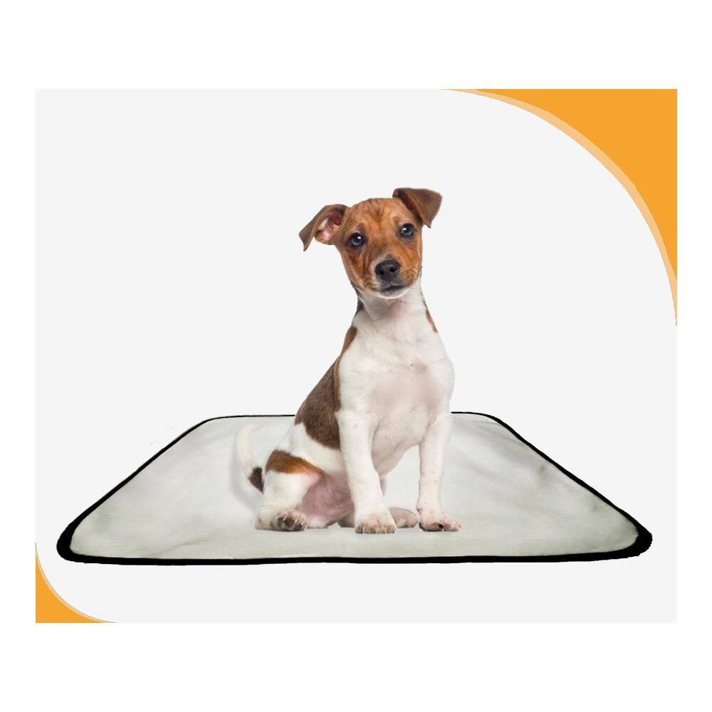 Tapete Dog Para Cães Lavável Absorvente 2 Un M - 60X80 Cm