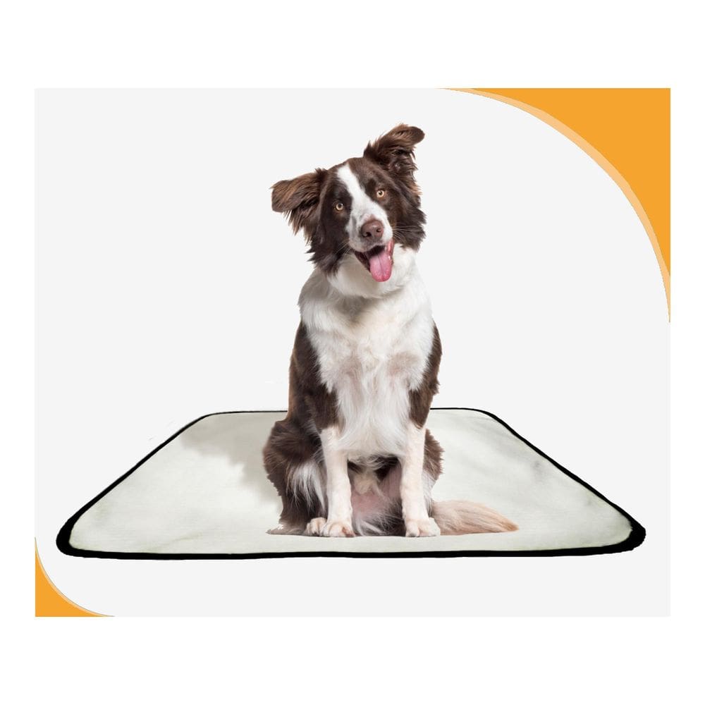 Tapete Pet Higiênico Prático Estratégico 3 Un M 60X80 Cm