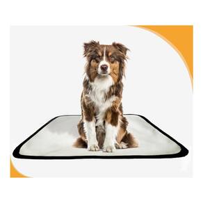 Tapete Canino Pet Prático Estratégico 4 Un P 50X60Cm