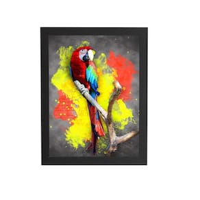Papagaio Animais Foto Arte Quadro Moldura Preta 60X40Cm