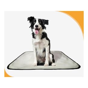 Tapete Para Xixi De Cachorro Pet, 4 Unidades M 60X80 Cm