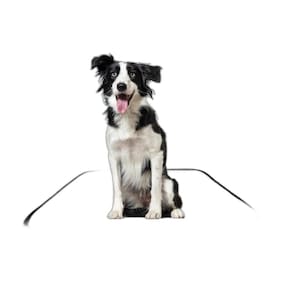 Tapete Para Xixi De Cachorro Pet, 3 Unidades M 60X80 Cm
