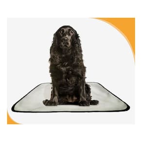 Tapete Dog Higiênico Lavável Absorvente 1 Un M - 60X80 Cm