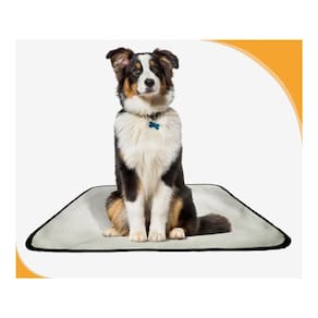 Banheiro Canino Móvel Reutilizável Pet 5Un G 90X100Cm