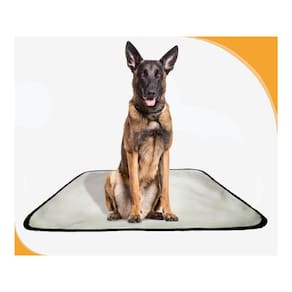 Tapete Canino Higiênico Lavável Pet 1 Un G - 90 X 100 Cm