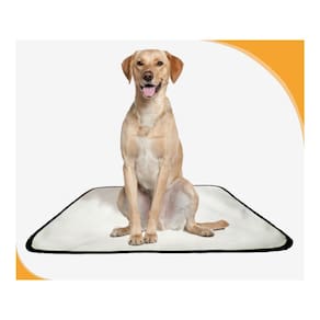 Tapete Pet Lavável Higiênico Estratégico 1 Un M 60X80 Cm