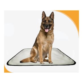 Tapete Para Cães Higiênico Ecológico 1 Un G 90X100Cm