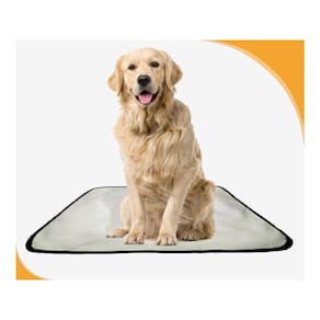 Tapete Higiênico Adestramento Reutilizável 5G - 90X100 Cm