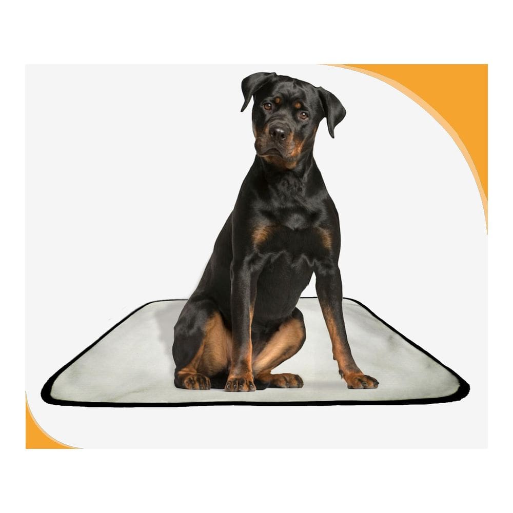 Tapete De Treinamento Canino Lavável 3Un G 90X100 Cm