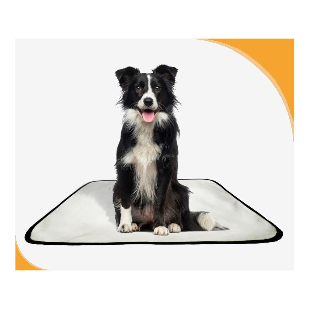 Tapete Para Cães Higiênico Ecológico 5 Un M 60X80 Cm