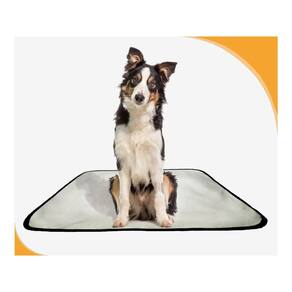Banheiro Canino Móvel Reutilizável Pet 1Un M 60X80 Cm