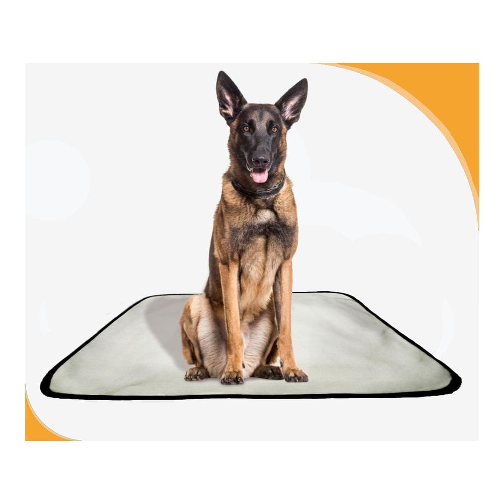 Tapete De Cuidados Para Cachorros - 3 Unidades G 90X100 Cm