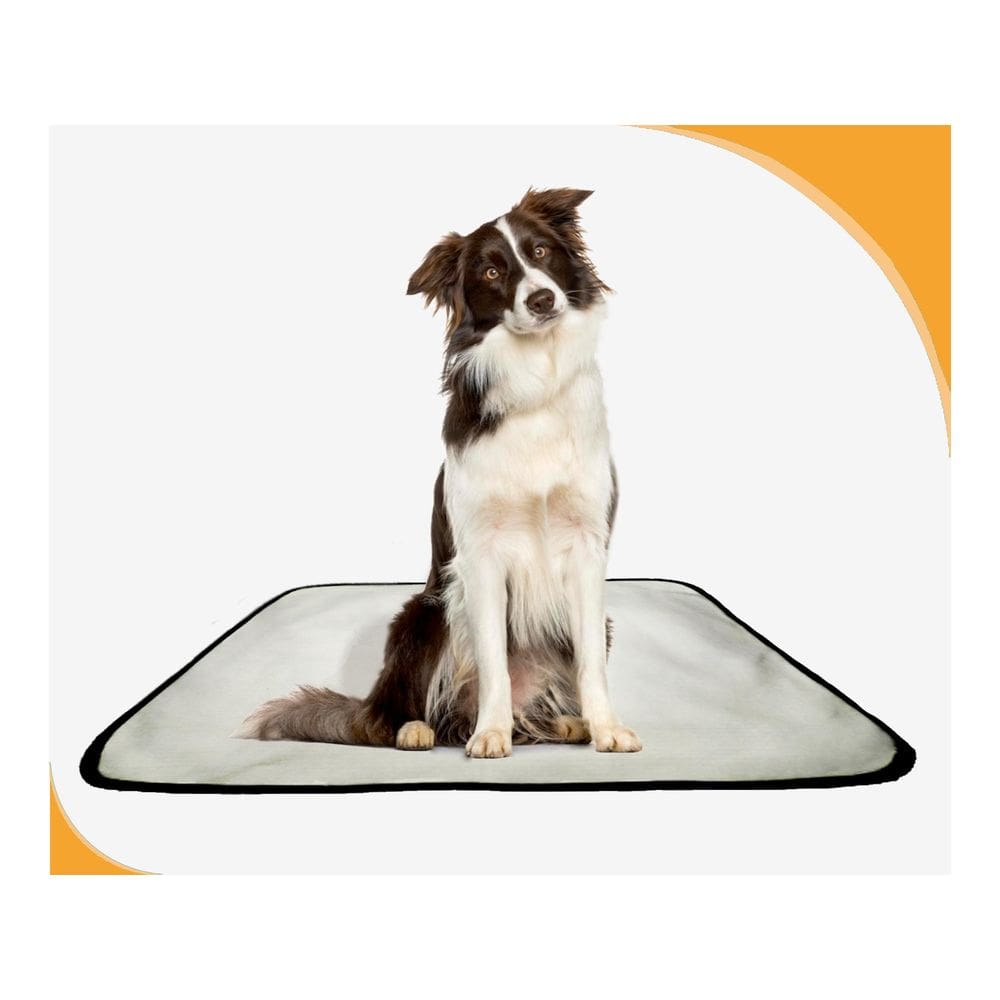 Tapete Adestramento De Cachorros Reutilizável 10Un G 90X100