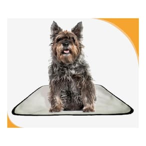 Tapete Higiênico Dog Adestramento 10 Unidade M - 60X80 Cm