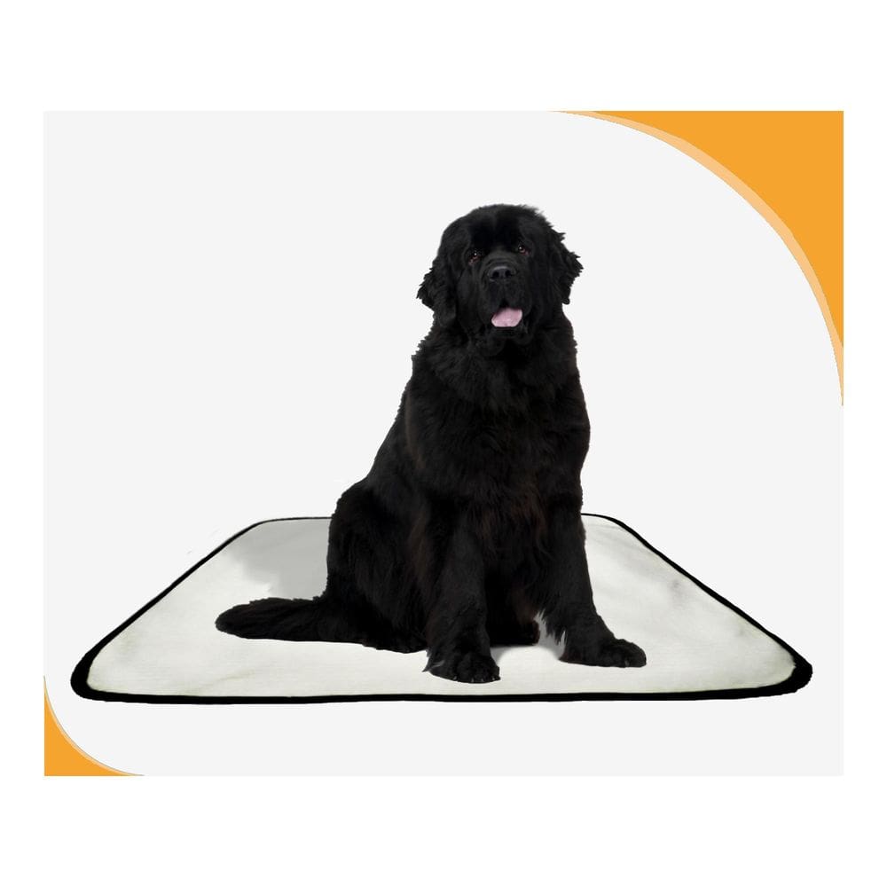 Tapete Para Pets Lavável Canino Prático 3 Un M - 60 X 80 Cm