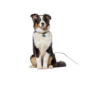 Banheiro Canino Móvel Reutilizável Pet 4Un G 90X100Cm