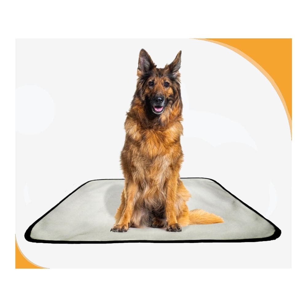 Tapete Lavável Dog Adestramento Higiênico 10Un G - 90X100 Cm