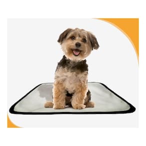 Tapete Para Xixi De Cachorro Pet, 2 Unidades P 50X60 Cm