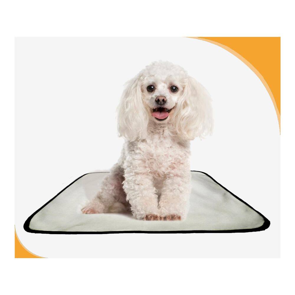Banheiro Canino Para Adestramento 4 Unidade P 50X60 Cm