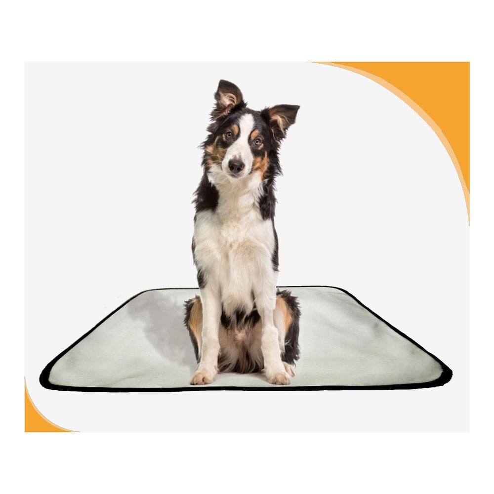 Banheiro Canino Móvel Reutilizável Pet 3Un M 60X80 Cm