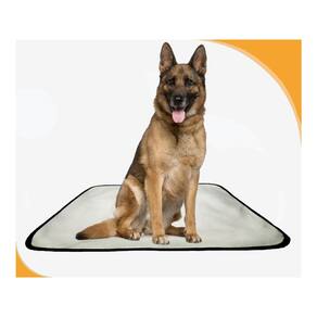 Tapete Higiênico Canino Absorvente Pet 10 Un G - 90 X 100 Cm