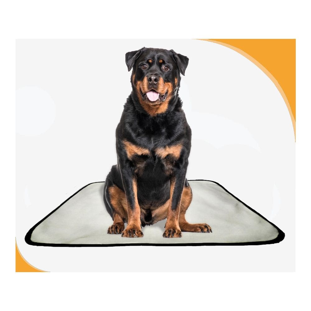 Tapetes Higiênicos Pet Lavável Absorvente 4 Un G 90X100 Cm