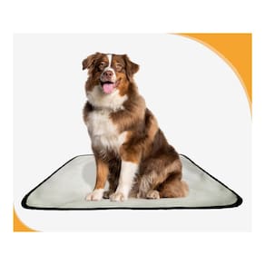 Banheiro Canino Para Adestramento 1 Unidade G 90X100 Cm