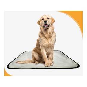 Tapete Dog Higiênico Lavável Absorvente 1 Un G - 90X100 Cm
