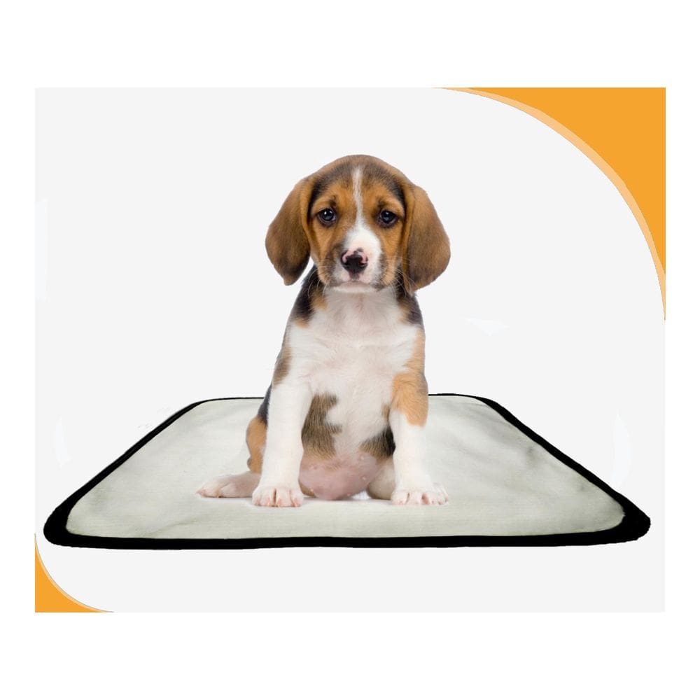 Tapetes Reutilizáveis Para Xixi E Uso De Cães 10Un P 50X60Cm