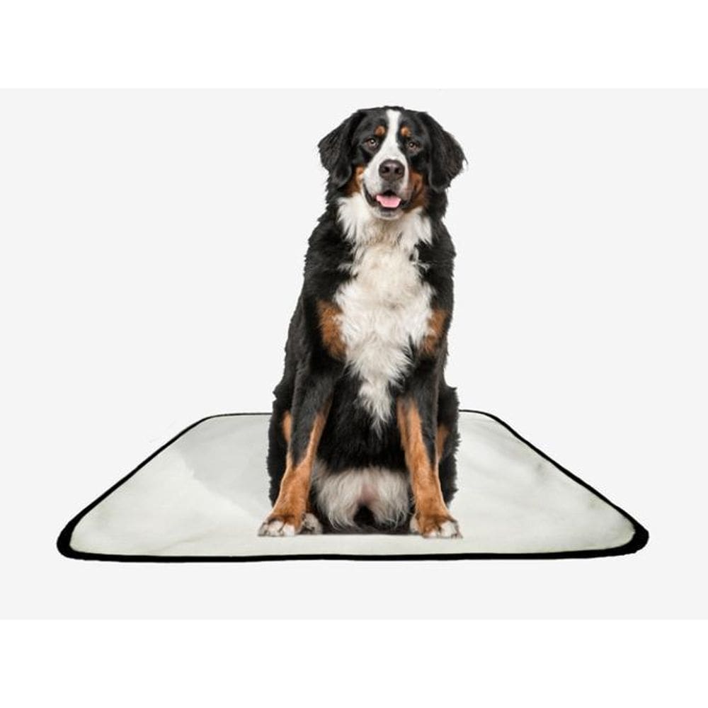 Tapete Pet Lavável Adestramento Higiênico 7 Un G2 120X120Cm