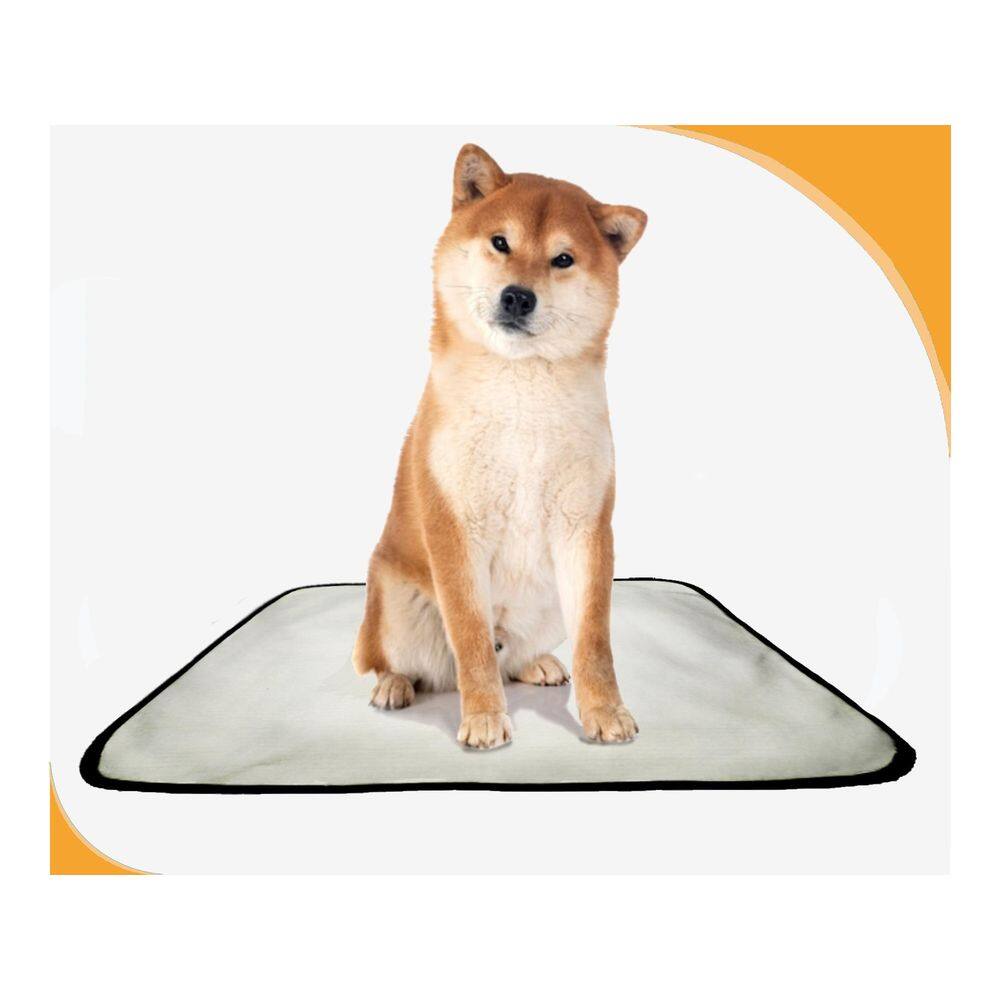 Banheiro Para Cachorro Móvel Lavável 1Un M 60X80 Cm