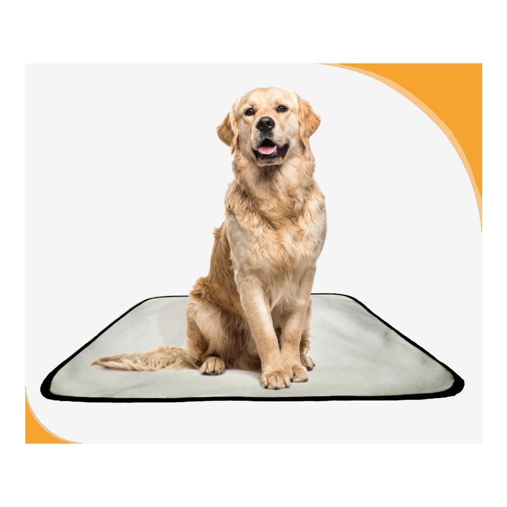 Tapete Dog Higiênico Lavável Absorvente 2 Un G - 90X100 Cm
