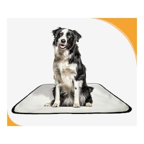 Tapete Canino Pet Prático Estratégico 1 Un M 60X80 Cm