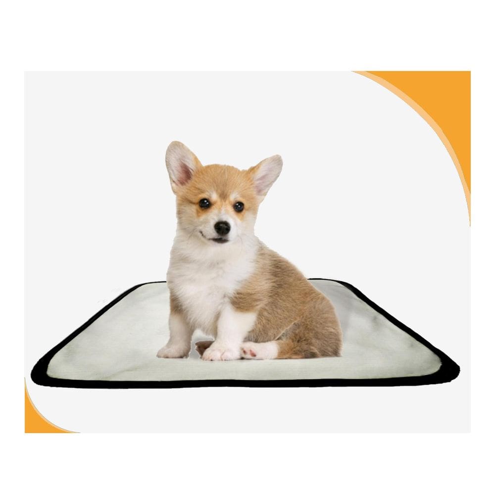 Tapete Para Adestramento Pet Reutilizável 3Un P 50X60 Cm