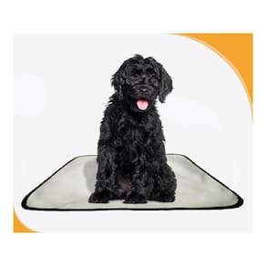 Tapete Canino Higiênico Lavável Pet 2 Un M - 60 X 80 Cm