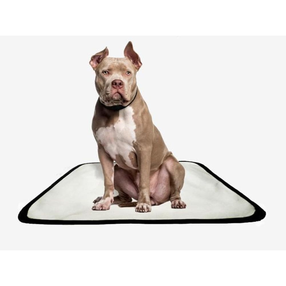 Tapete Pet Lavável Adestramento Higiênico 3 Un P1 50X70Cm