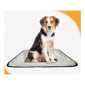 Tapetes Higiênicos Pet Lavável Absorvente 2 Un M - 60X80 Cm