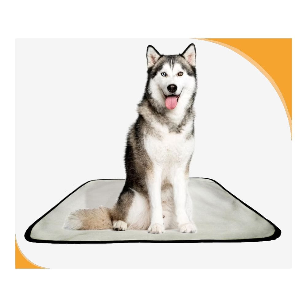 Banheiro Para Cachorro Móvel Lavável 3Un G 90X100Cm