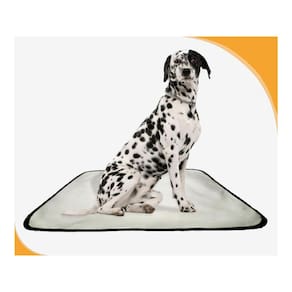 Tapete Adestramento De Cachorros Reutilizável 10Un M 60X80