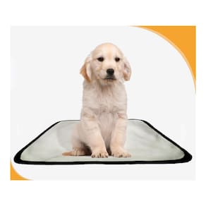 Tapete Canino Higiênico Lavável Pet 2 Un P - 50 X 60 Cm