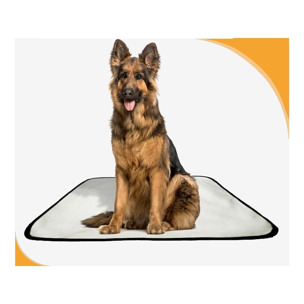 Tapete Pet Lavável Prático Estratégico 2 Un G 90X100Cm