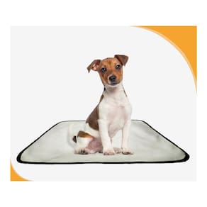 Tapete Dog Para Cães Lavável Absorvente 3 Un M - 60X80 Cm