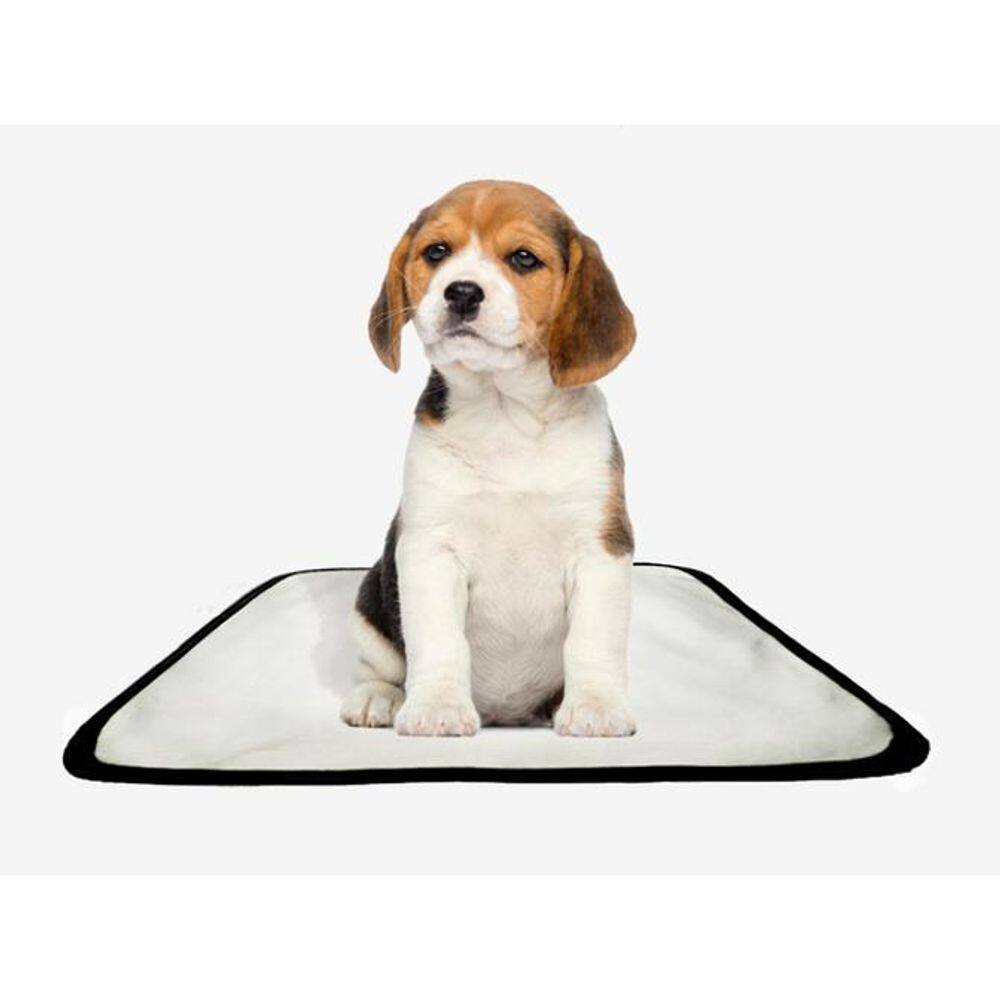 Tapetes Higiênicos Reutilizáveis E Laváveis 2Un Pp 40X50 Cm