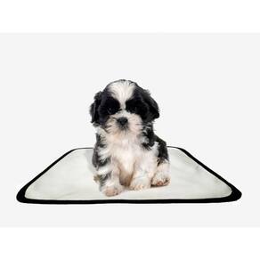 Tapete Pet Lavável Educador Higiênico 2 Un Pp 40X50Cm