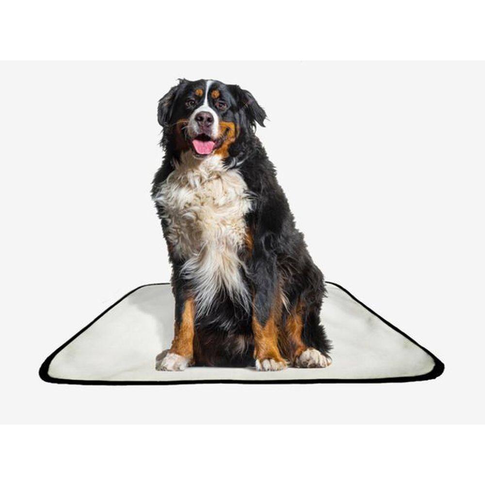 Tapete Pet Lavável Adestramento Higiênico 1 Un G1 100X120Cm