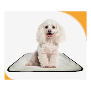 Banheiro Canino Para Adestramento 5 Unidade P 50X60 Cm