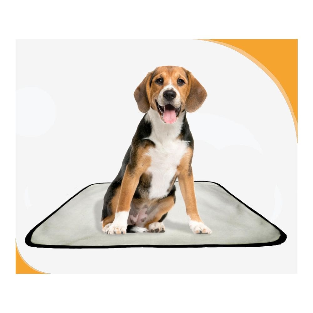 Tapete De Cuidados Para Cachorros - 3 Unidades M - 60X80 Cm