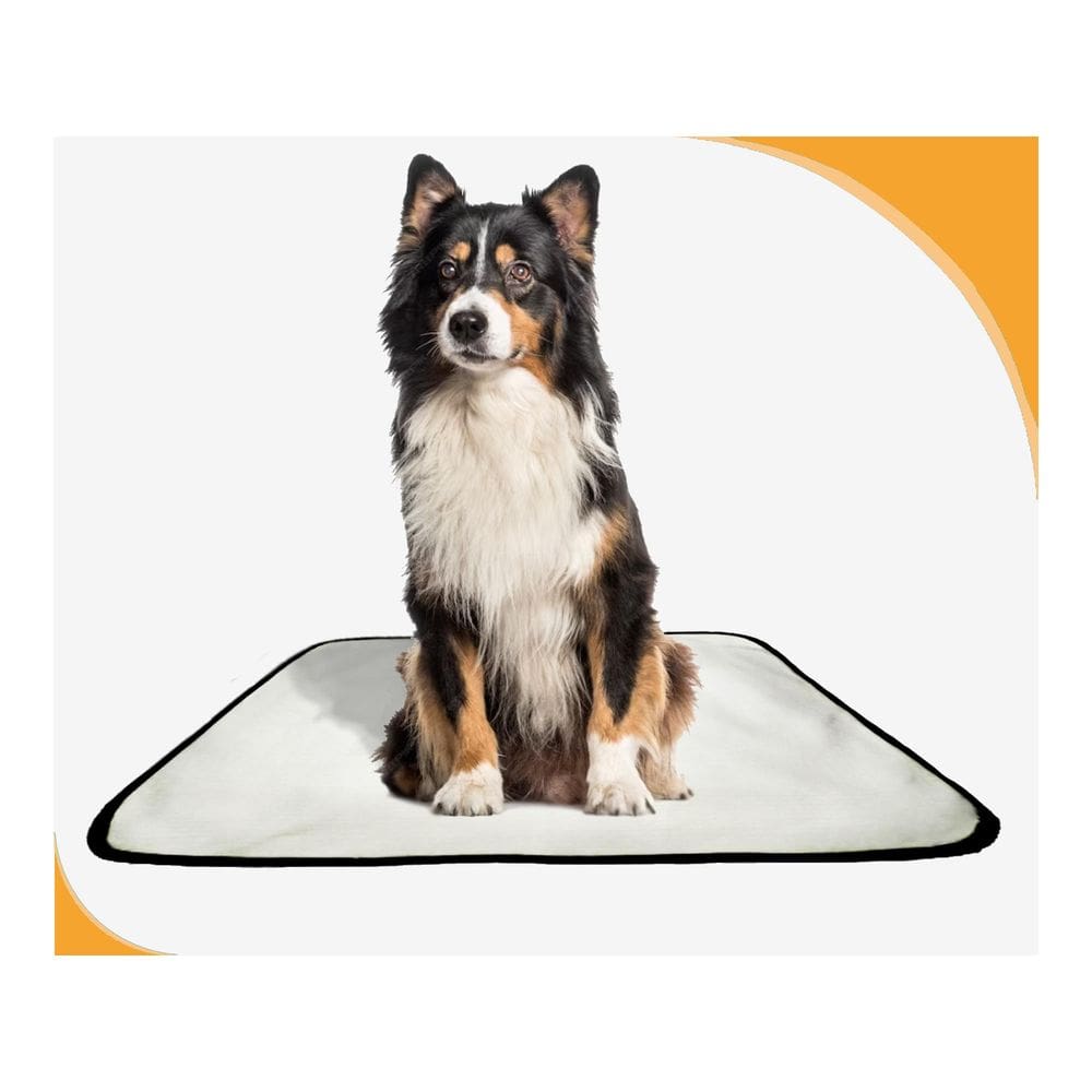 Tapete Para Cães Prático Ecológico 5 Un M1 70X100 Cm