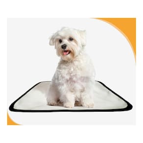 Tapete Pet Lavável Prático Estratégico 5 Un P 50X60Cm