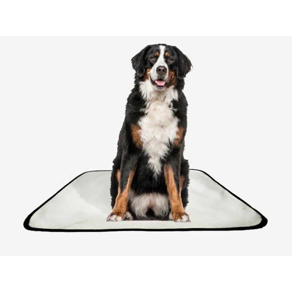 Tapete Pet Lavável Adestramento Higiênico 1 Un G2 120X120Cm